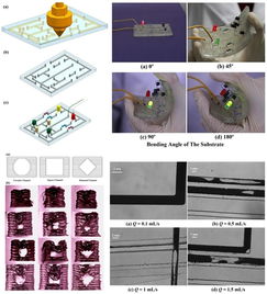 理化所開發液態金屬懸浮3D打印方法，開創柔性可拉伸電子器件制造新路徑